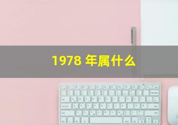 1978 年属什么